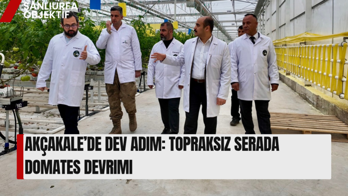 Akçakale’de Dev Adım: Topraksız Serada Domates Devrimi